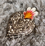 Corazón de milagritos blanco grande 0079